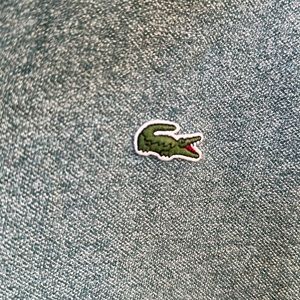 Lacoste Heather Green Short Sleeve Polo Men’s Side L
